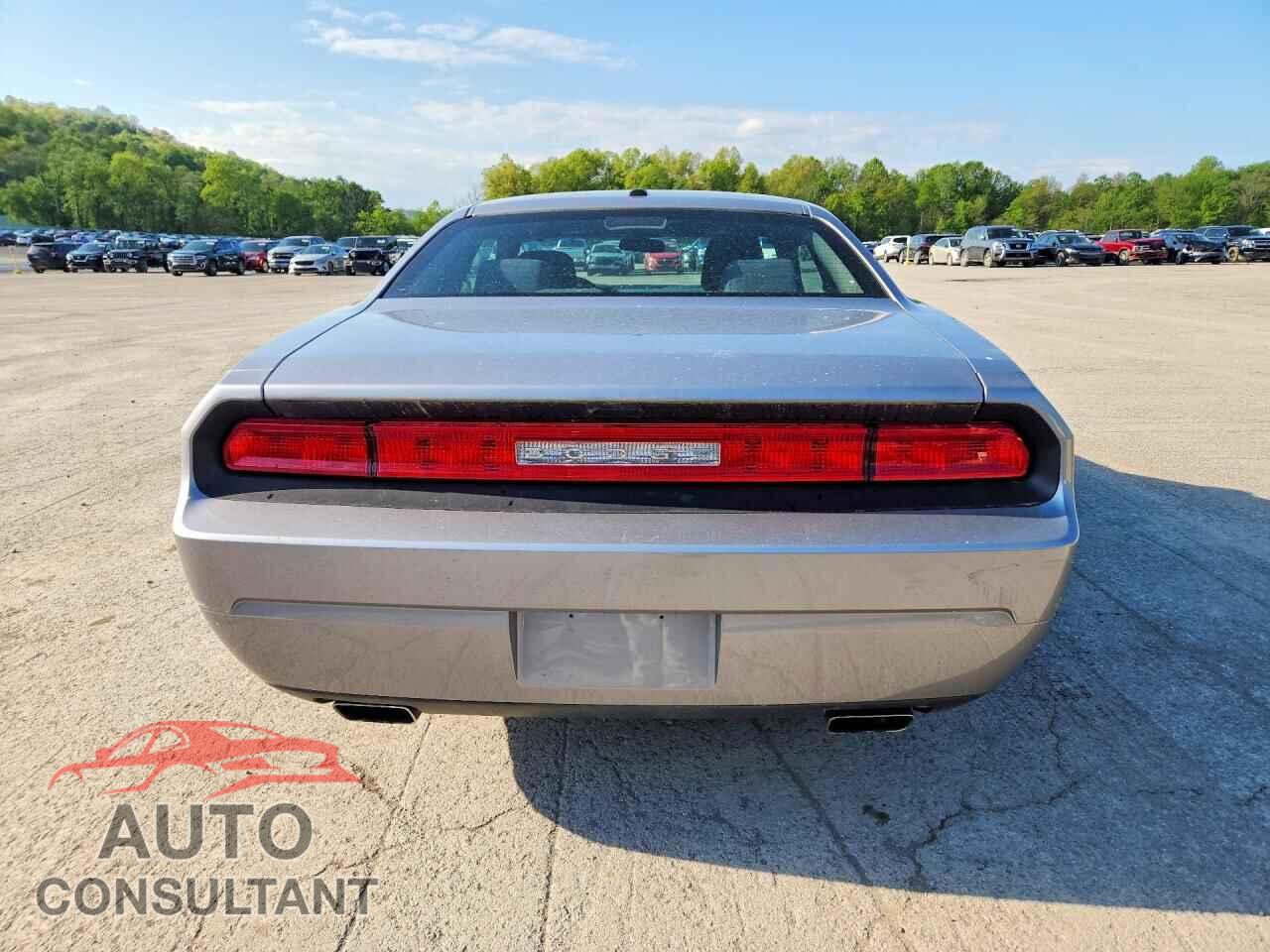 DODGE CHALLENGER 2013 - 2C3CDYAG3DH674774