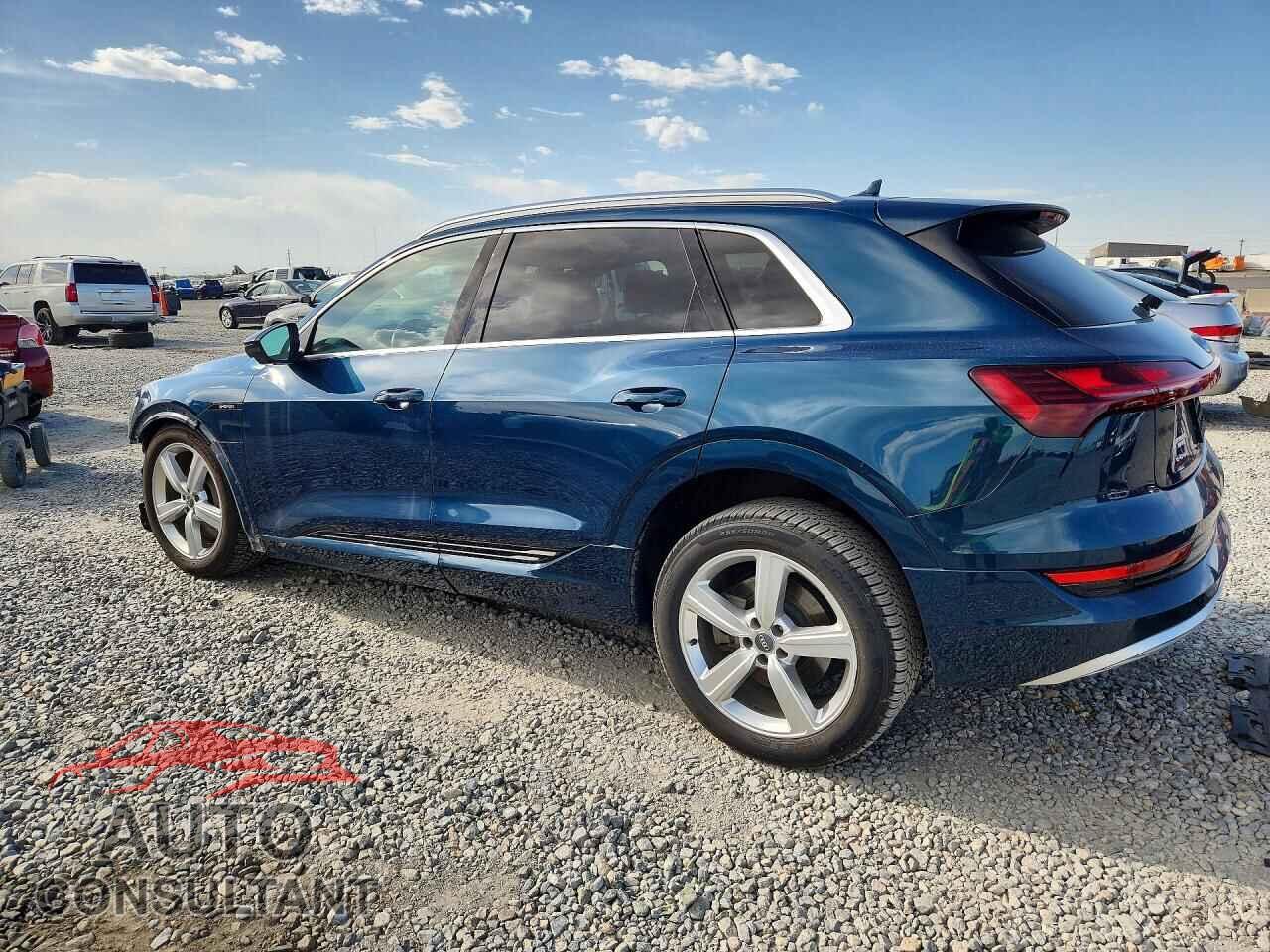 AUDI E-TRON 2019 - WA1LABGE3KB015343