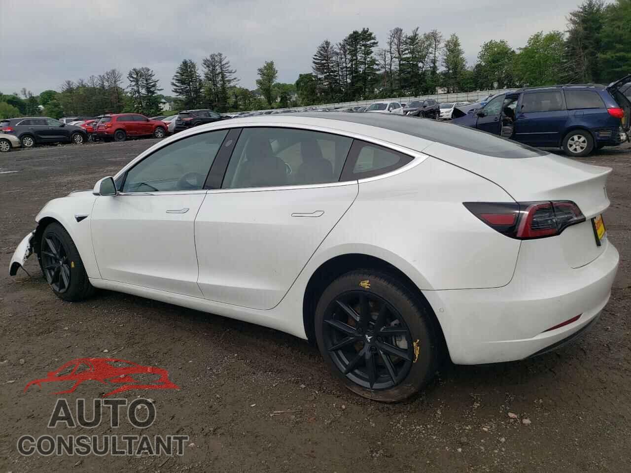 TESLA MODEL 3 2019 - 5YJ3E1EA1KF484593