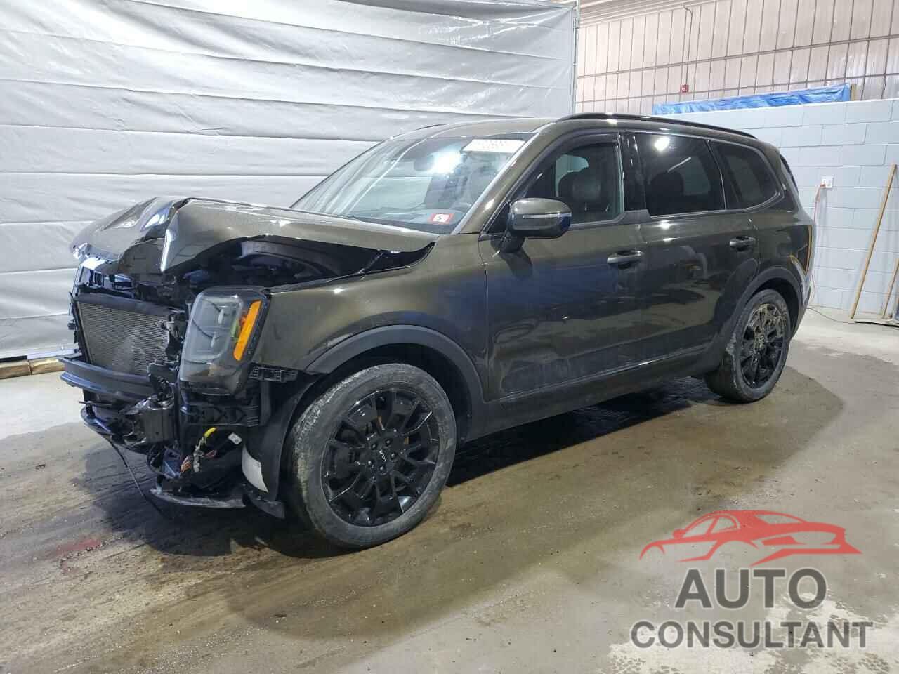 KIA TELLURIDE 2022 - 5XYP5DHC2NG276672