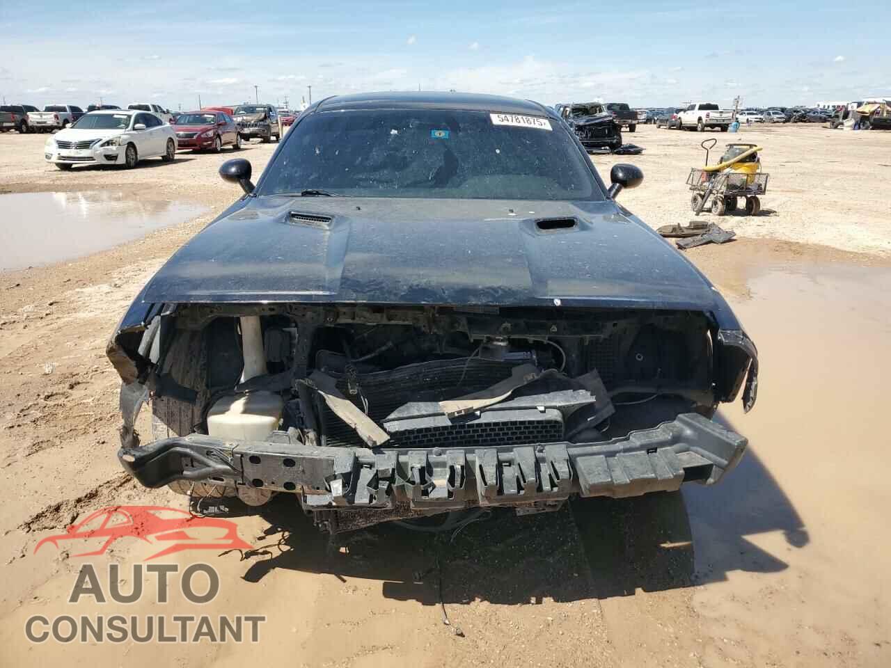 DODGE CHALLENGER 2013 - 2C3CDYAG0DH652215