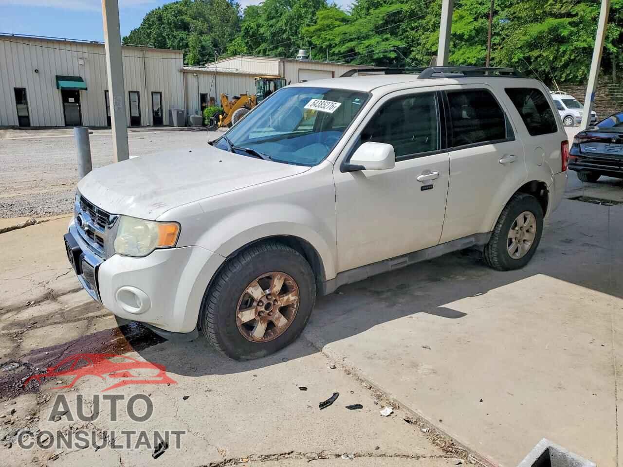 FORD ESCAPE 2010 - 1FMCU0EG8AKB90302