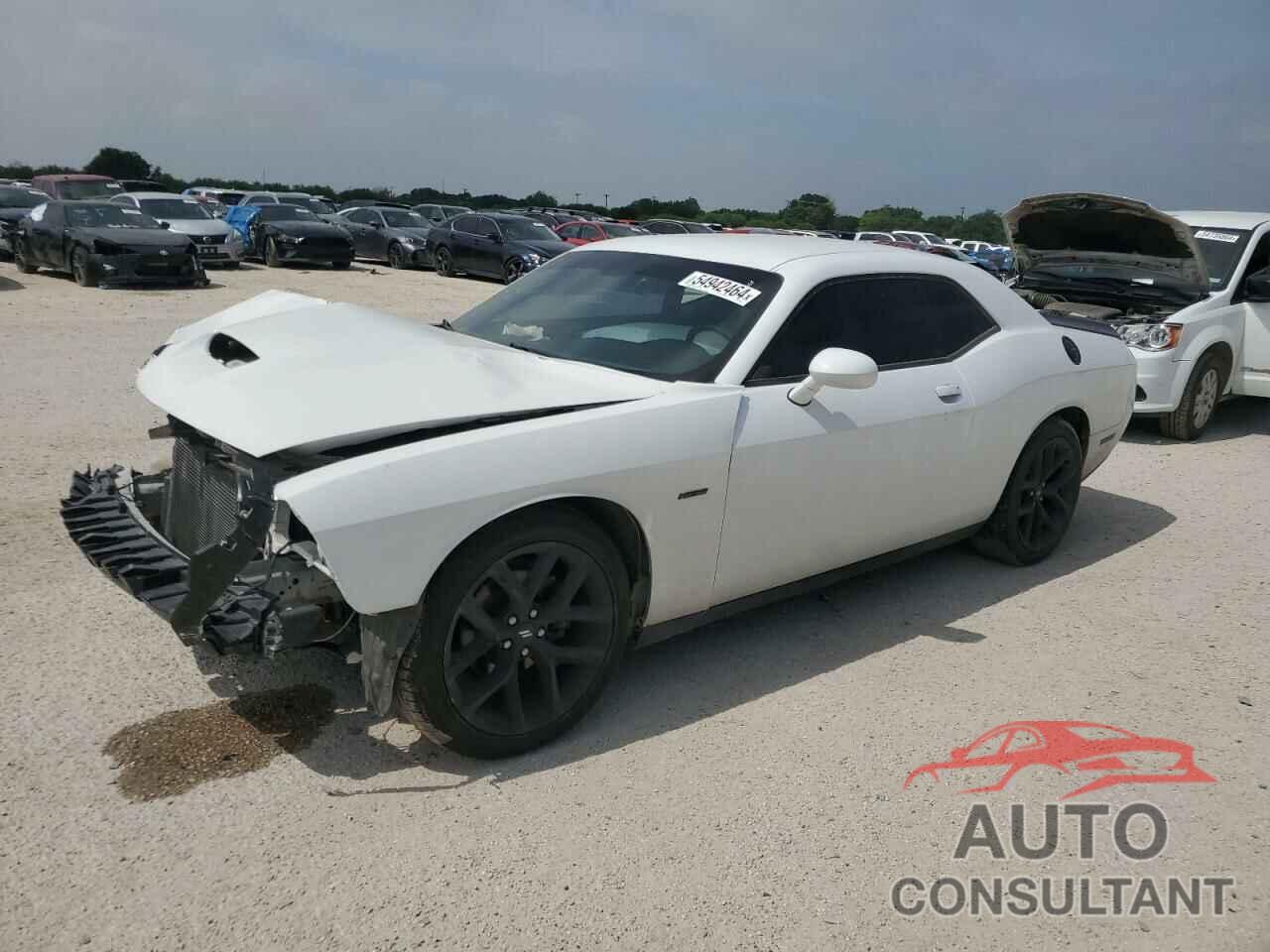 DODGE CHALLENGER 2019 - 2C3CDZBT6KH583285