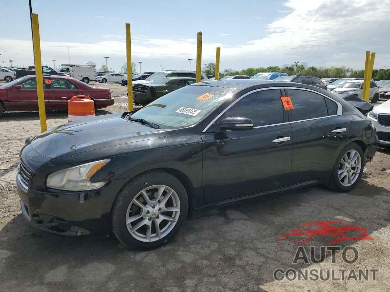 NISSAN MAXIMA 2011 - 1N4AA5AP6BC832332