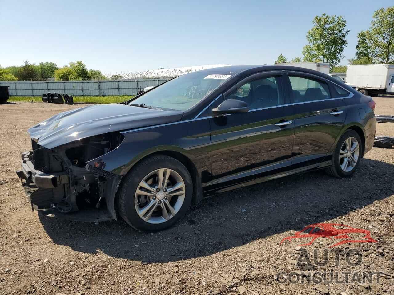 HYUNDAI SONATA 2019 - 5NPE34AF0KH805770