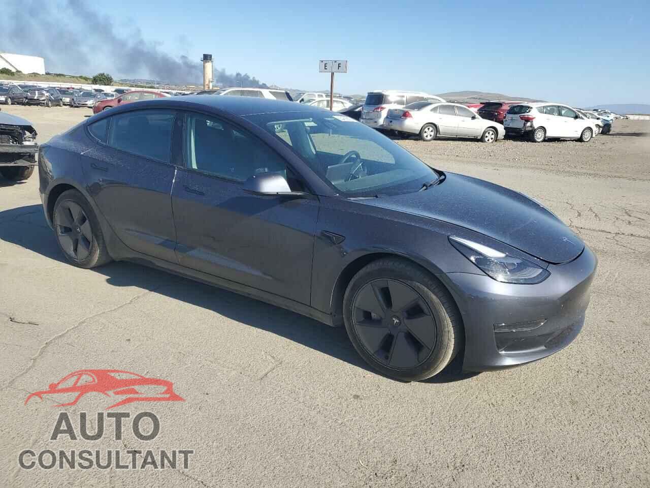 TESLA MODEL 3 2021 - 5YJ3E1EA2MF942712