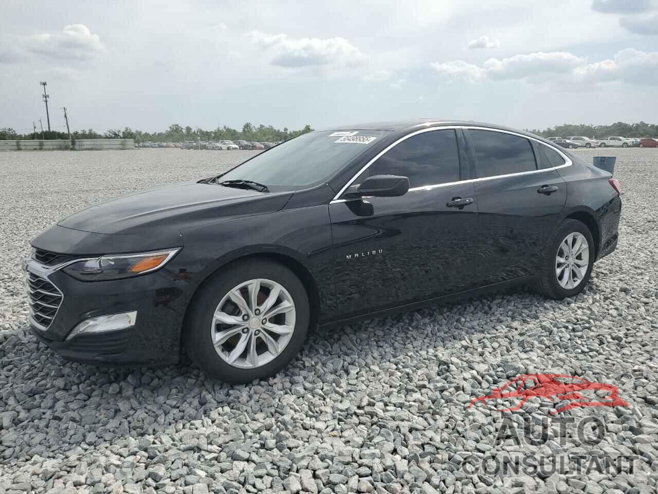 CHEVROLET MALIBU 2019 - 1G1ZD5STXKF141795