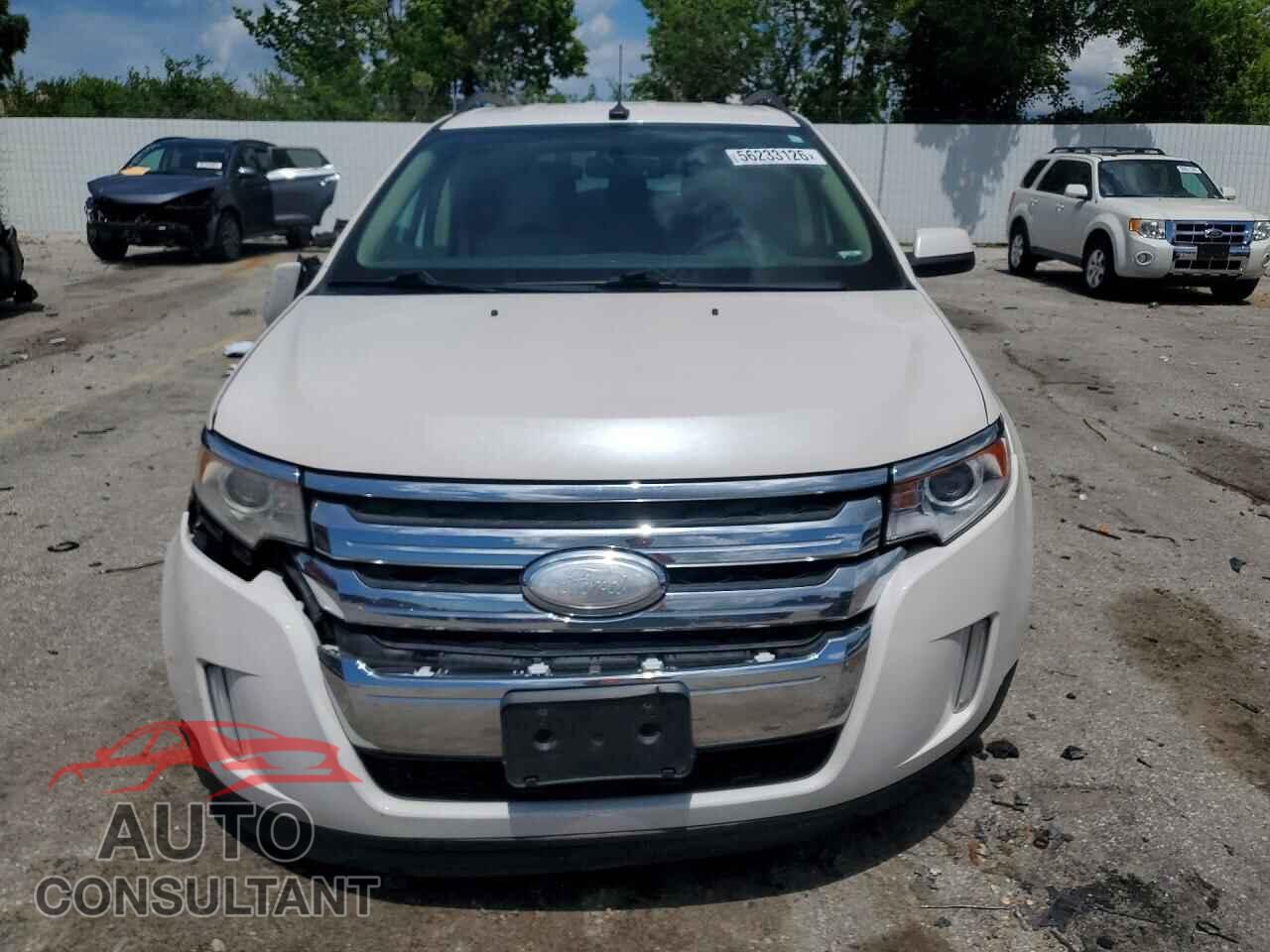 FORD EDGE 2011 - 2FMDK3KC5BBB54446