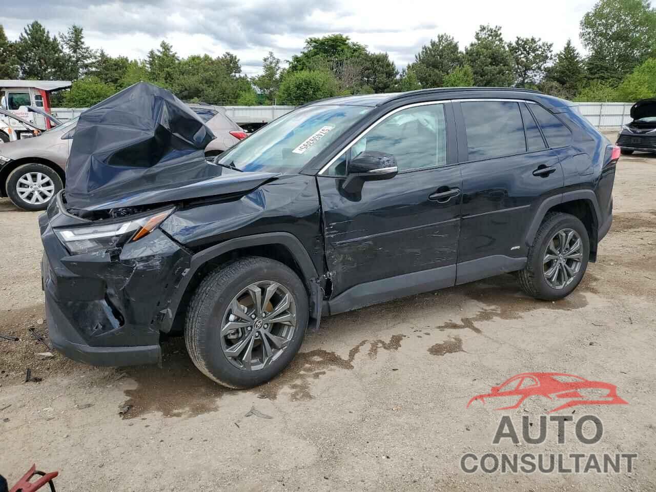 TOYOTA RAV4 2024 - 4T3B6RFV8RU162398