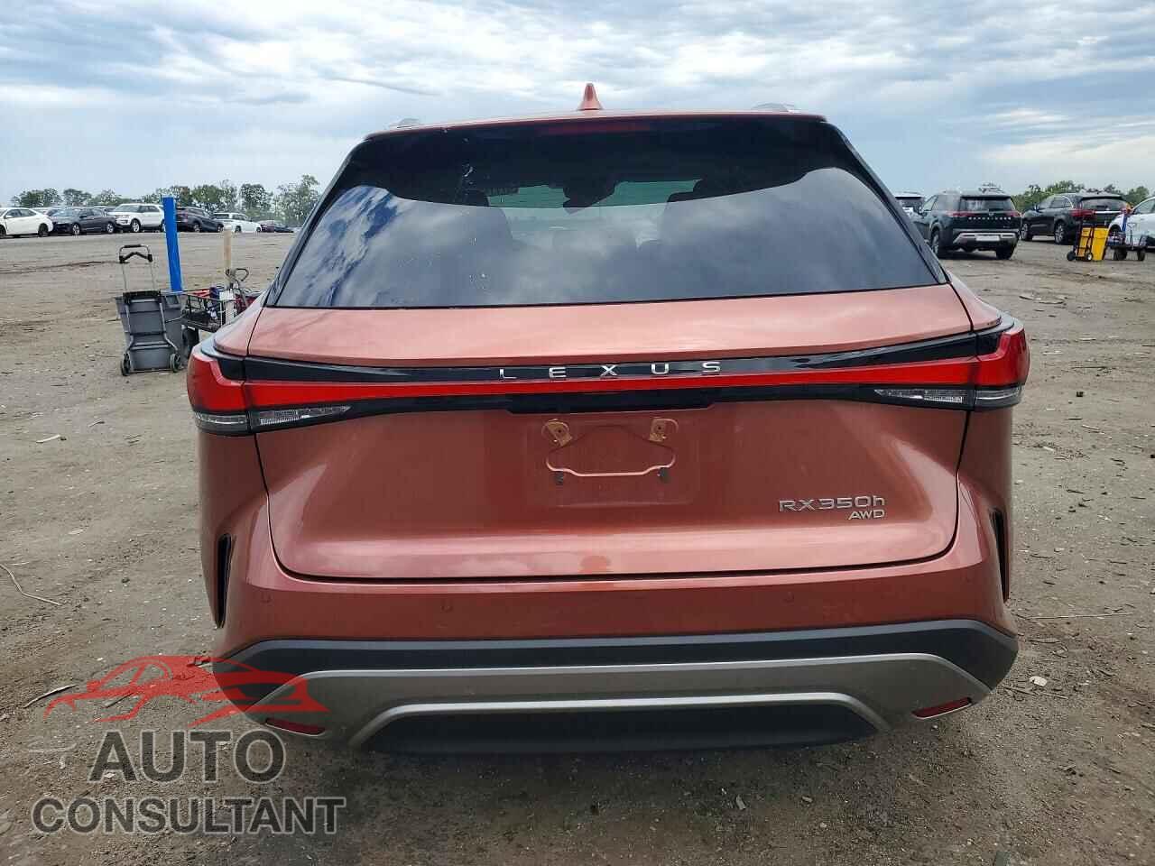 LEXUS UNKNOWN 2026 - 2T2BBMCA7TC124075
