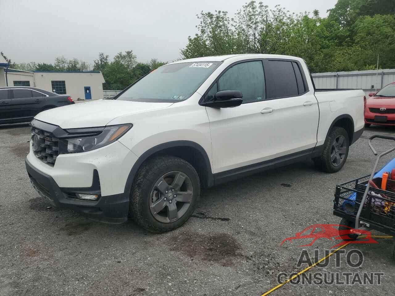 HONDA RIDGELINE 2024 - 5FPYK3F60RB019387