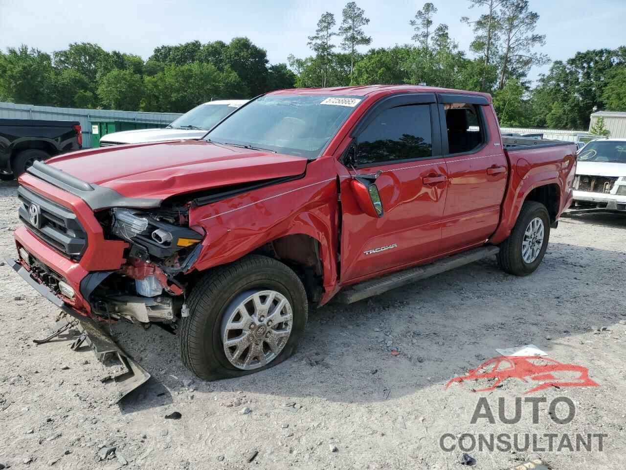 TOYOTA TACOMA 2024 - 3TYKB5FN7RT010123