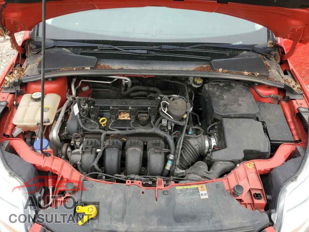 FORD FOCUS 2012 - 1FAHP3H2XCL339959