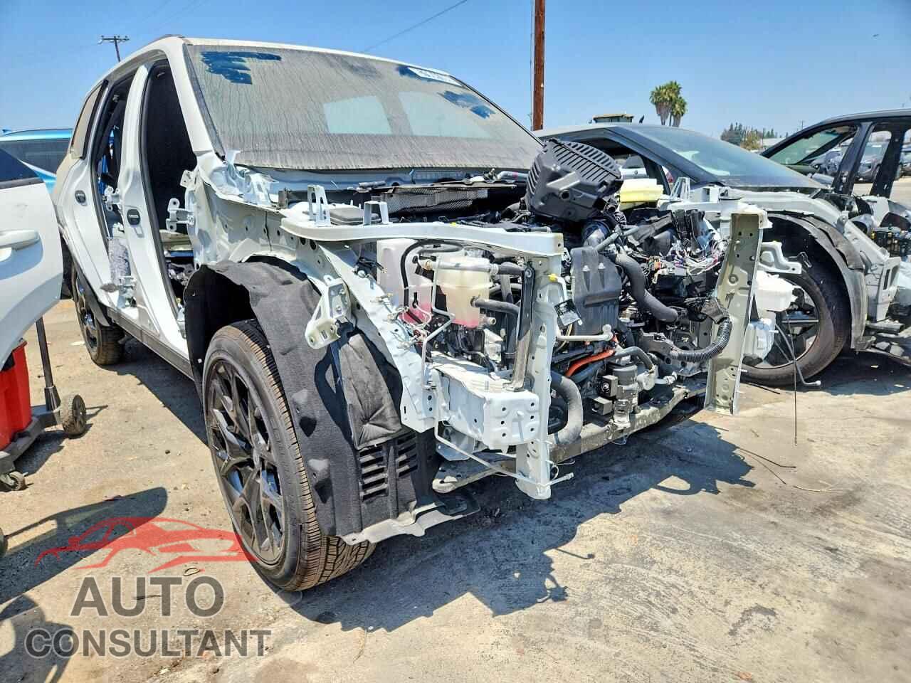 LEXUS UNKNOWN 2026 - 5TDABAB65TS019232