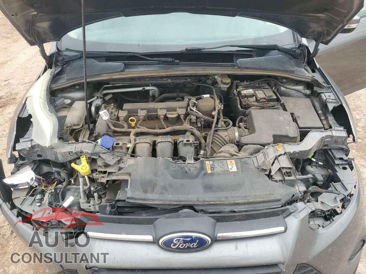 FORD FOCUS 2014 - 1FADP3F29EL362492