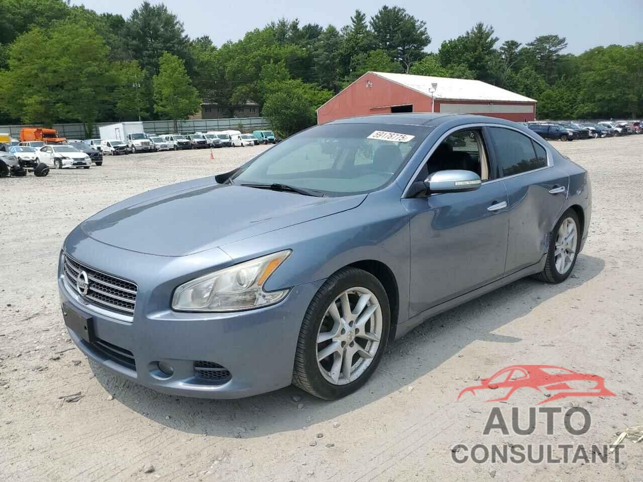 NISSAN MAXIMA 2011 - 1N4AA5AP6BC838244