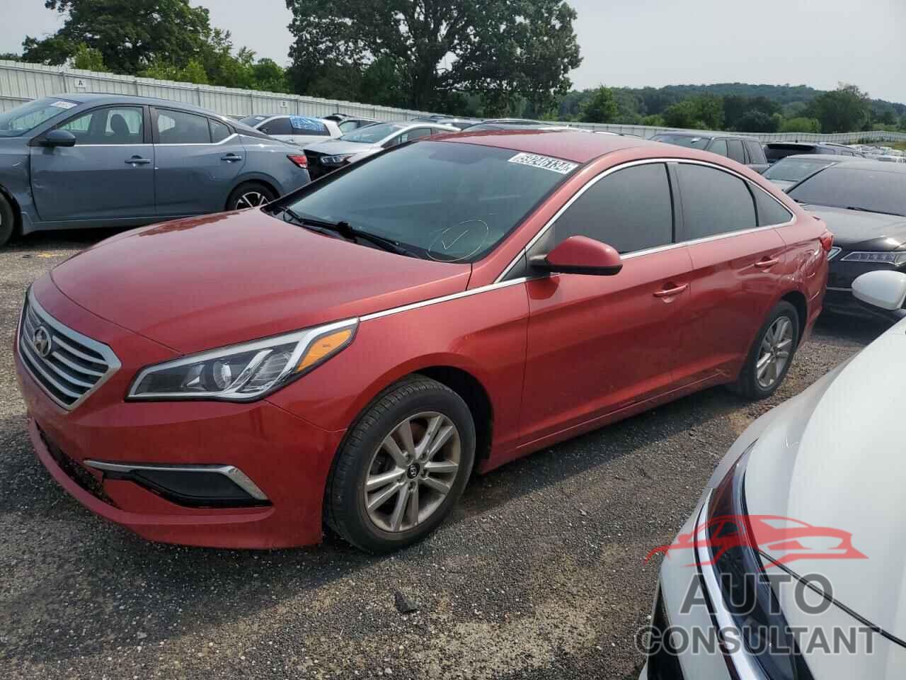 HYUNDAI SONATA 2017 - 5NPE24AF7HH571557