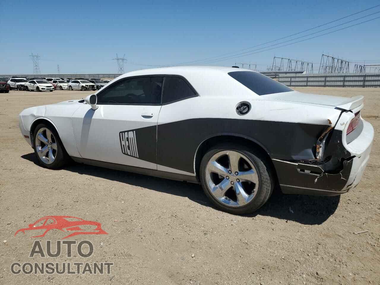 DODGE CHALLENGER 2014 - 2C3CDYBT2EH101815