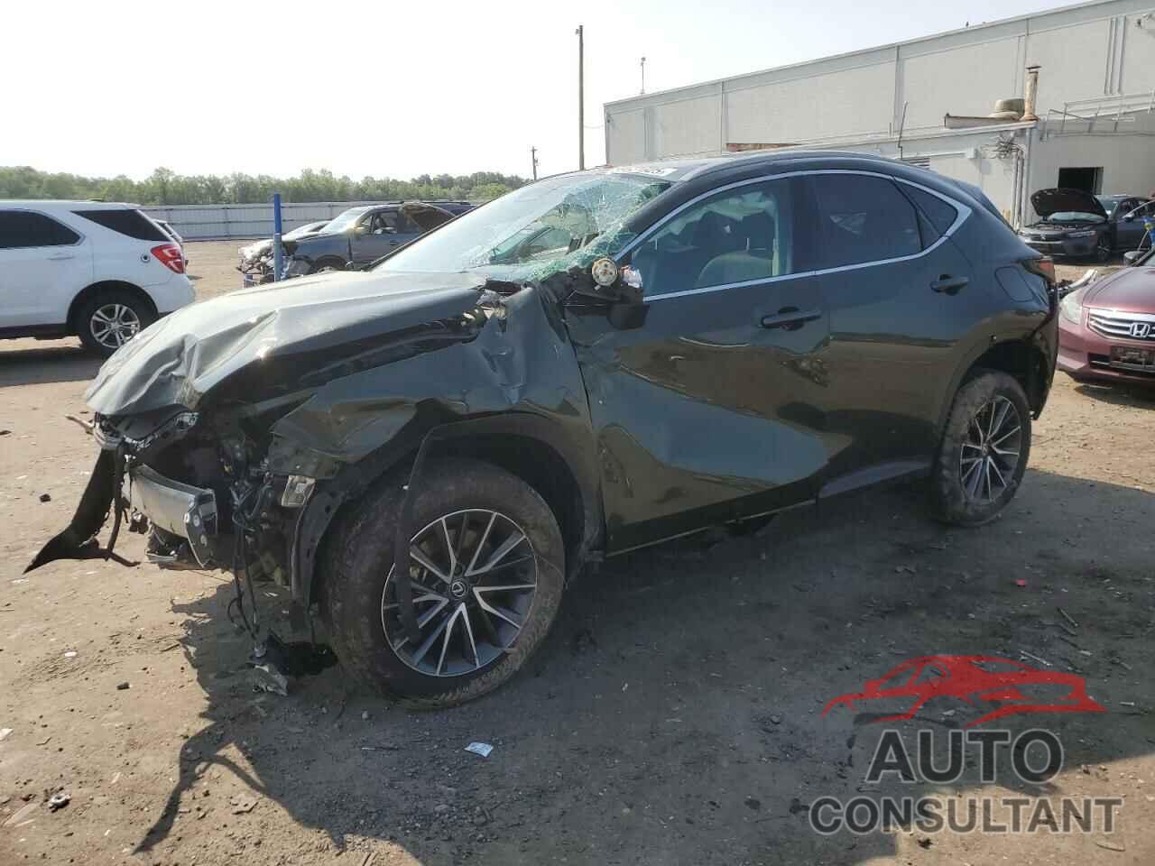 LEXUS NX 350 BAS 2025 - 2T2AGCEZ3SC066555