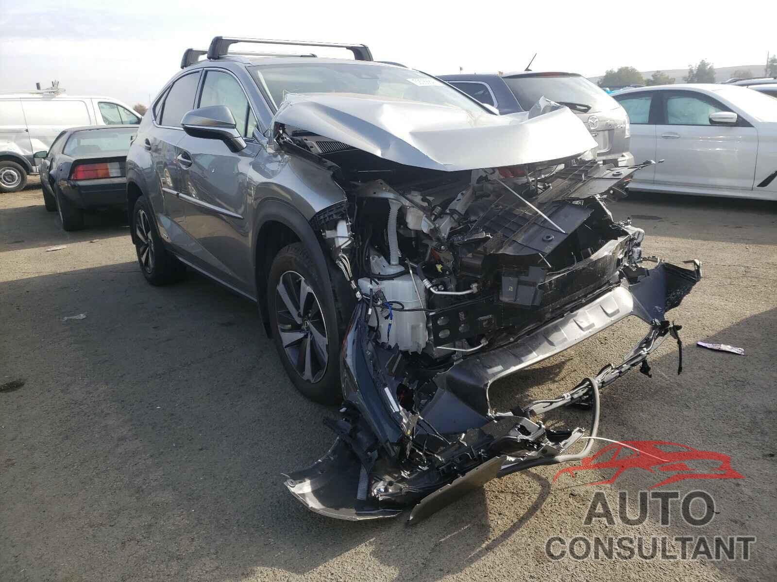 LEXUS NX 2020 - JTJGJRDZ1L5007911