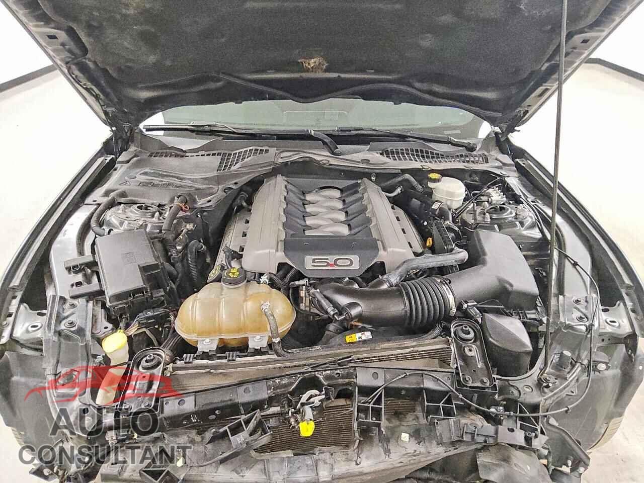 FORD MUSTANG 2017 - 1FA6P8CF8H5250711