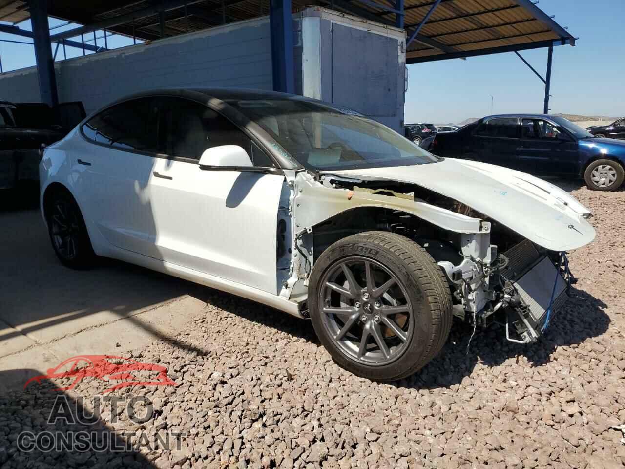 TESLA MODEL 3 2019 - 5YJ3E1EB2KF494719