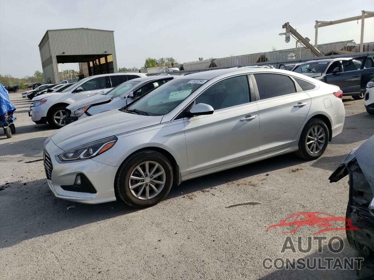 HYUNDAI SONATA 2019 - 5NPE24AF7KH797251