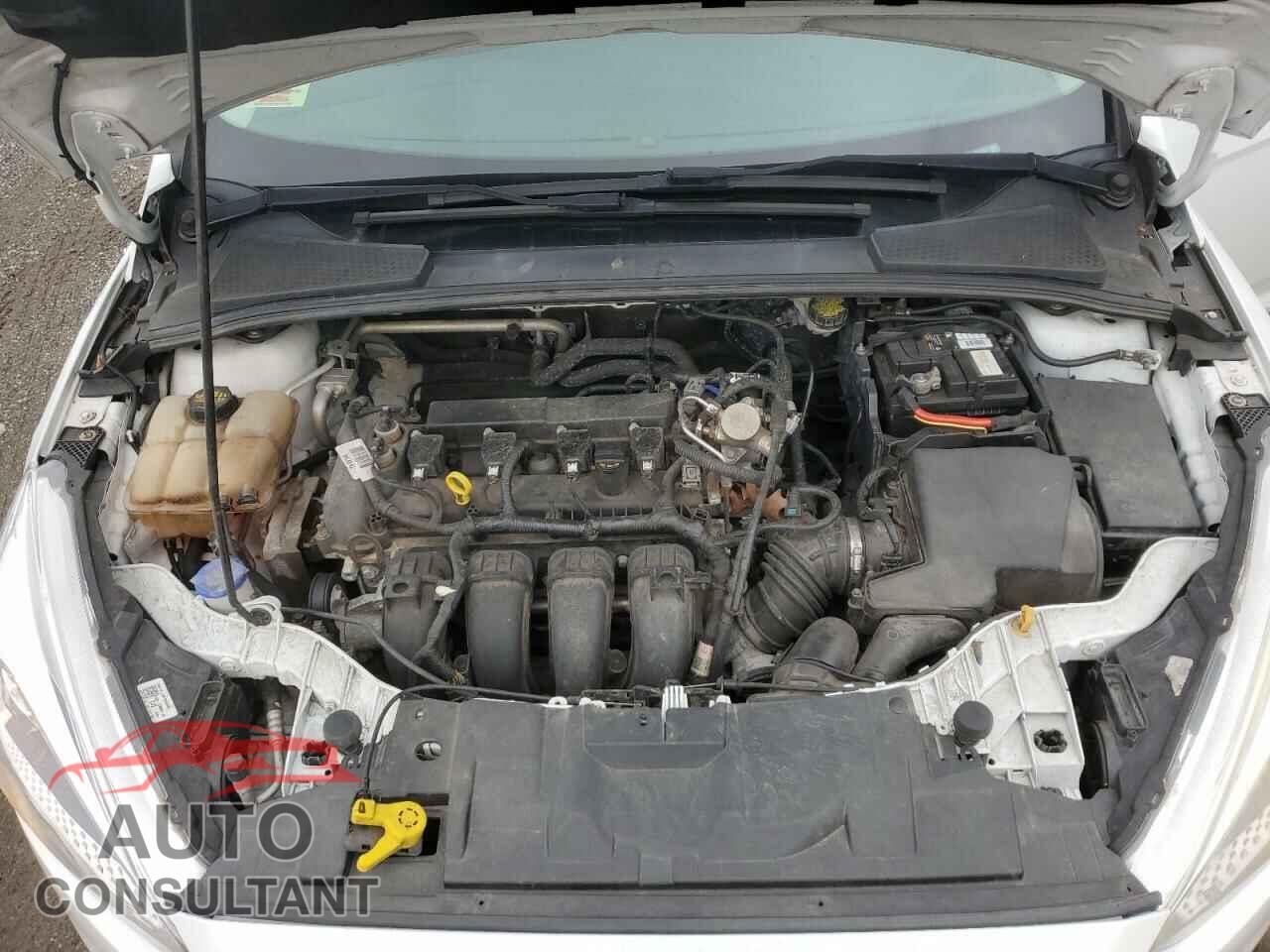 FORD FOCUS 2016 - 1FADP3K20GL347744