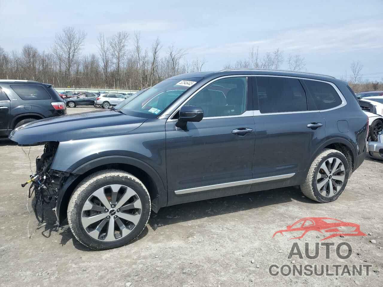 KIA TELLURIDE 2022 - 5XYP6DHC7NG244569