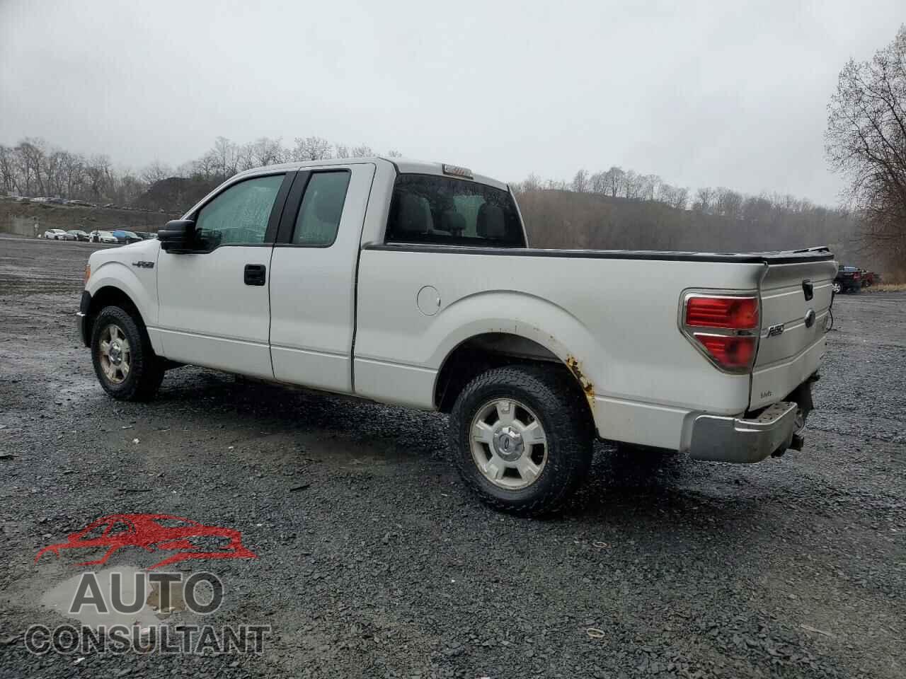 FORD F-150 2013 - 1FTEX1CM2DFD85196