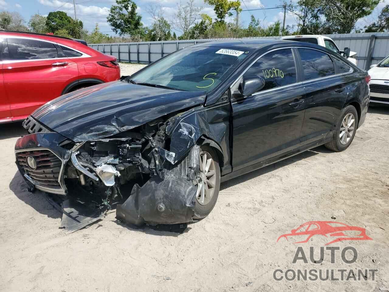 HYUNDAI SONATA 2019 - 5NPE24AF7KH771331