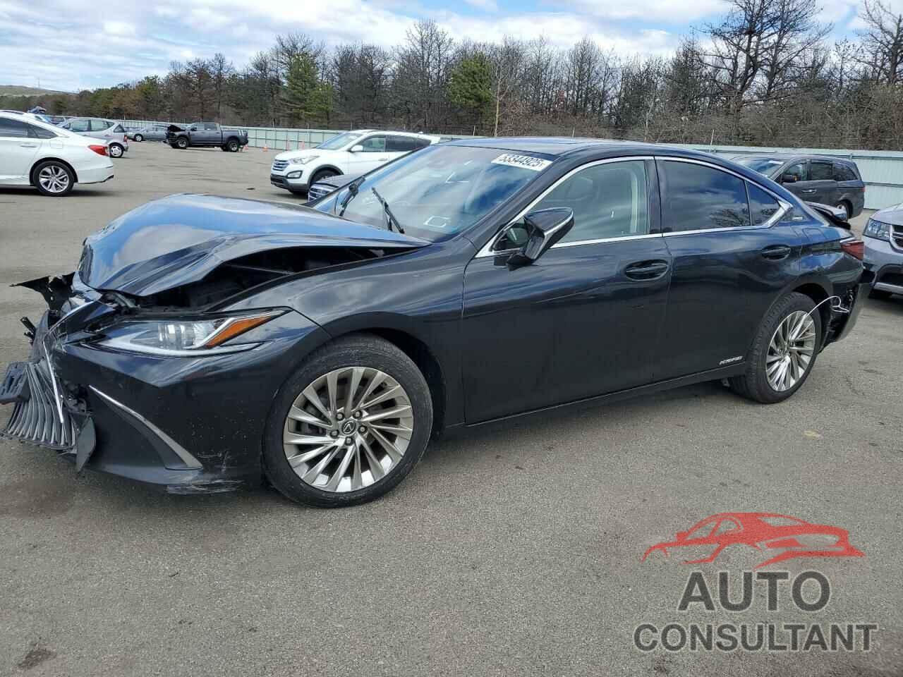 LEXUS ES300 2019 - JTHB21B14K2035693