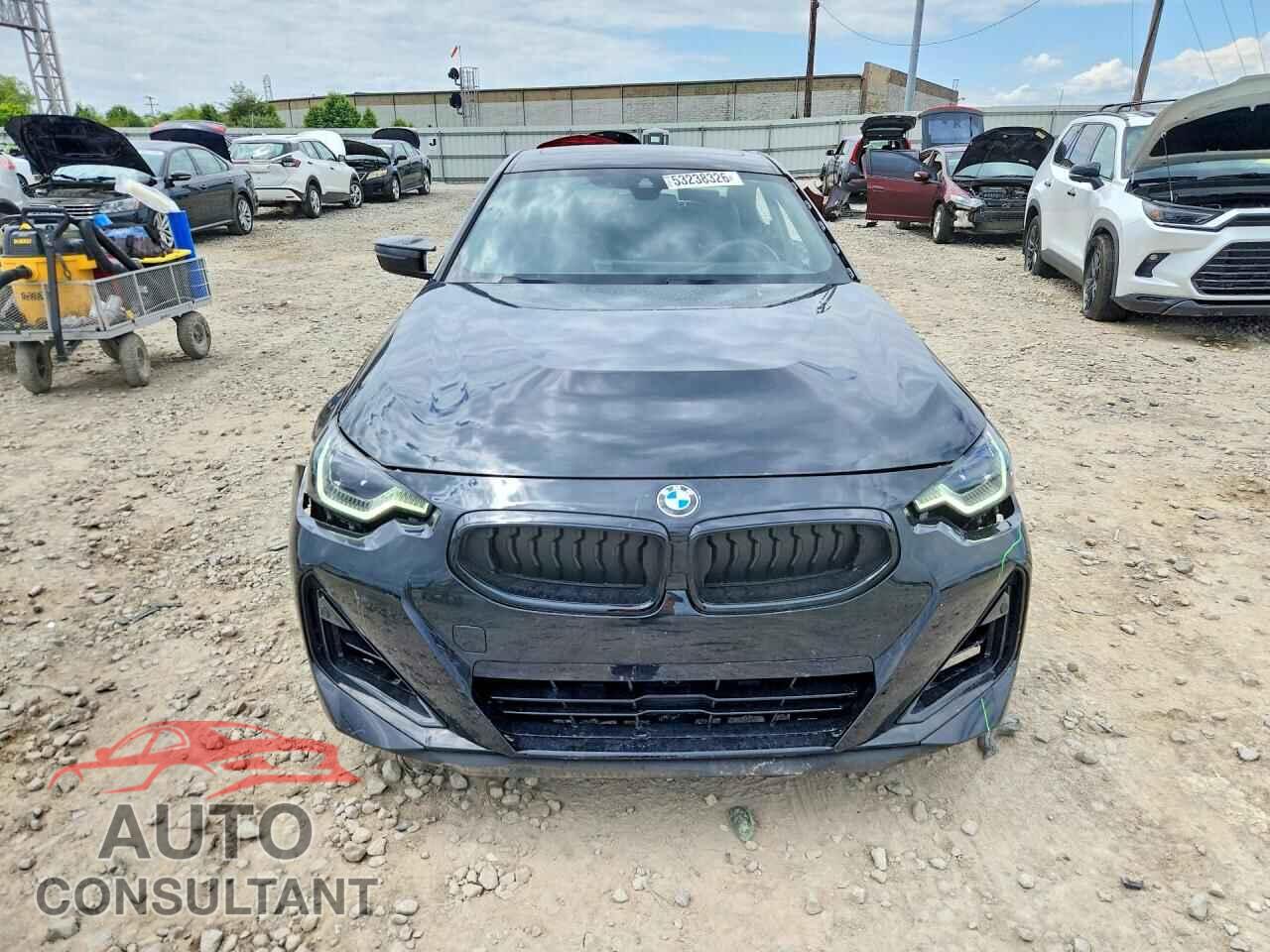 BMW M2 2024 - 3MW53CM00R8E88388