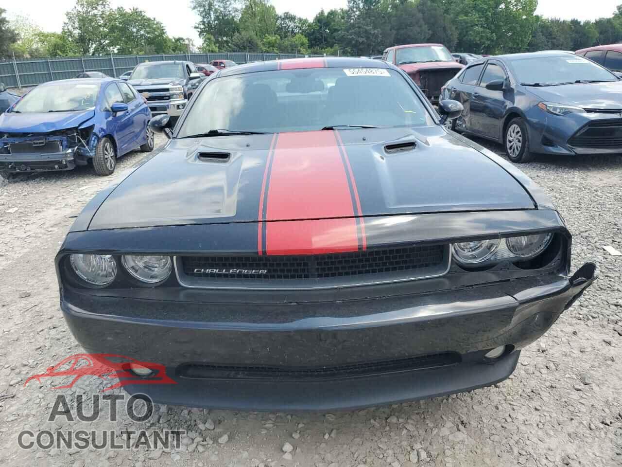 DODGE CHALLENGER 2014 - 2C3CDYAG0EH274124
