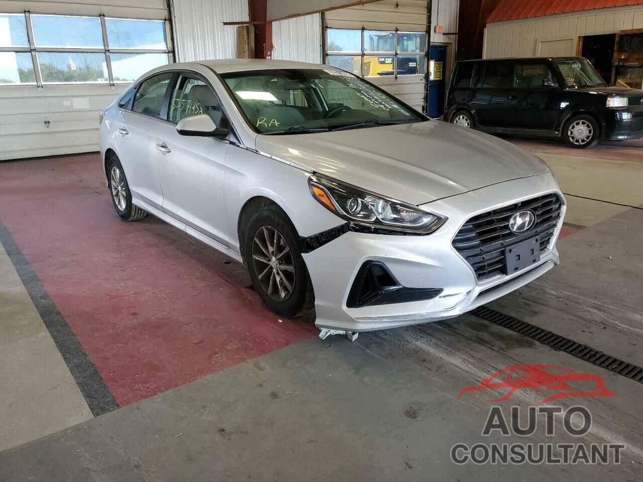 HYUNDAI SONATA 2019 - 5NPE24AF6KH775600