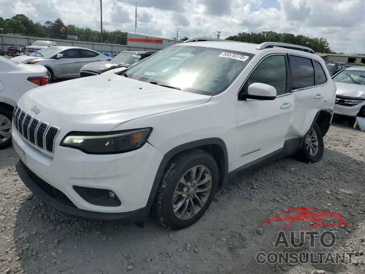 JEEP GRAND CHER 2019 - 1C4PJLLB4KD266045