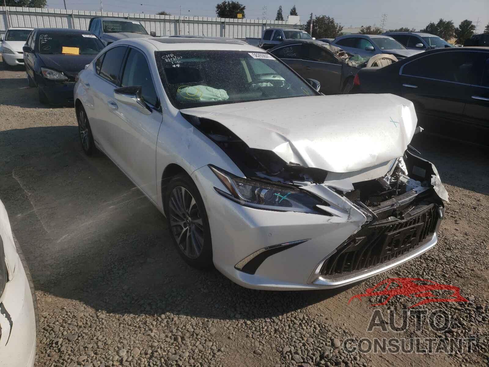 LEXUS ES300 2021 - 58ADA1C11MU002299