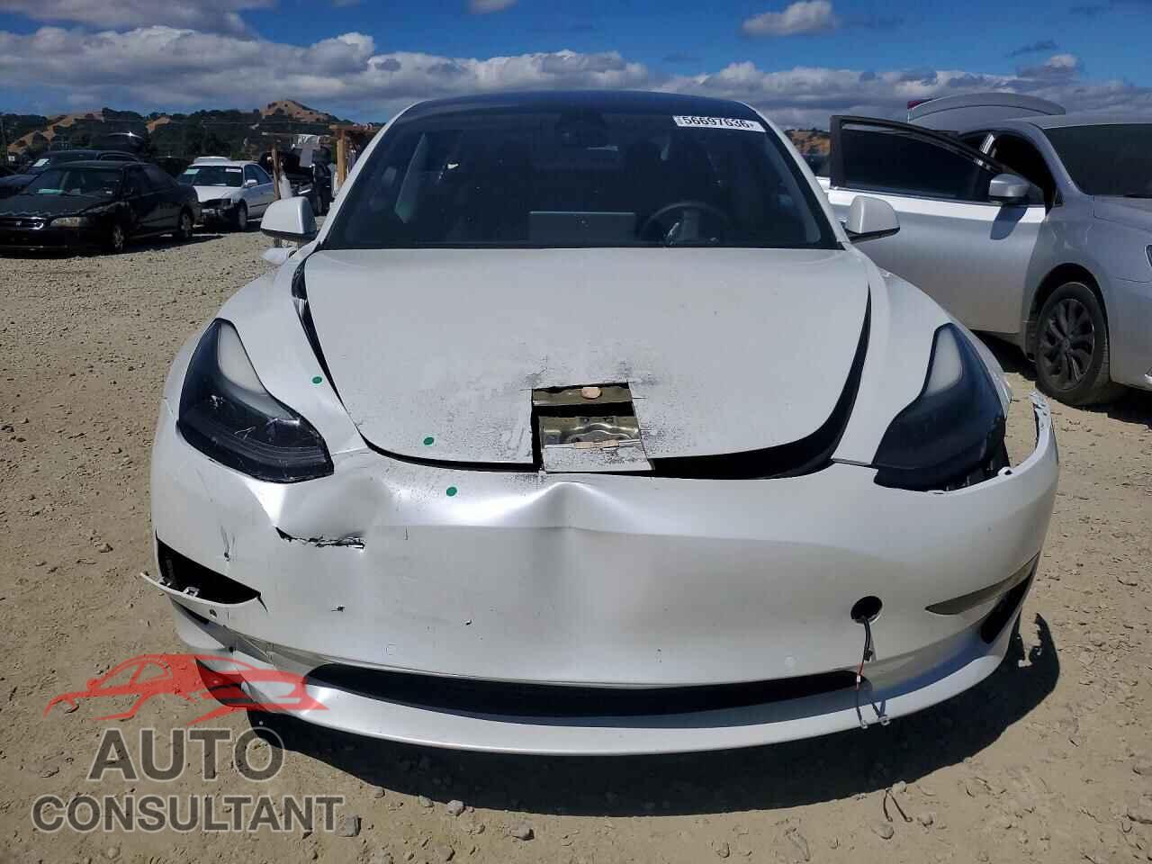 TESLA MODEL 3 2021 - 5YJ3E1EA7MF077574