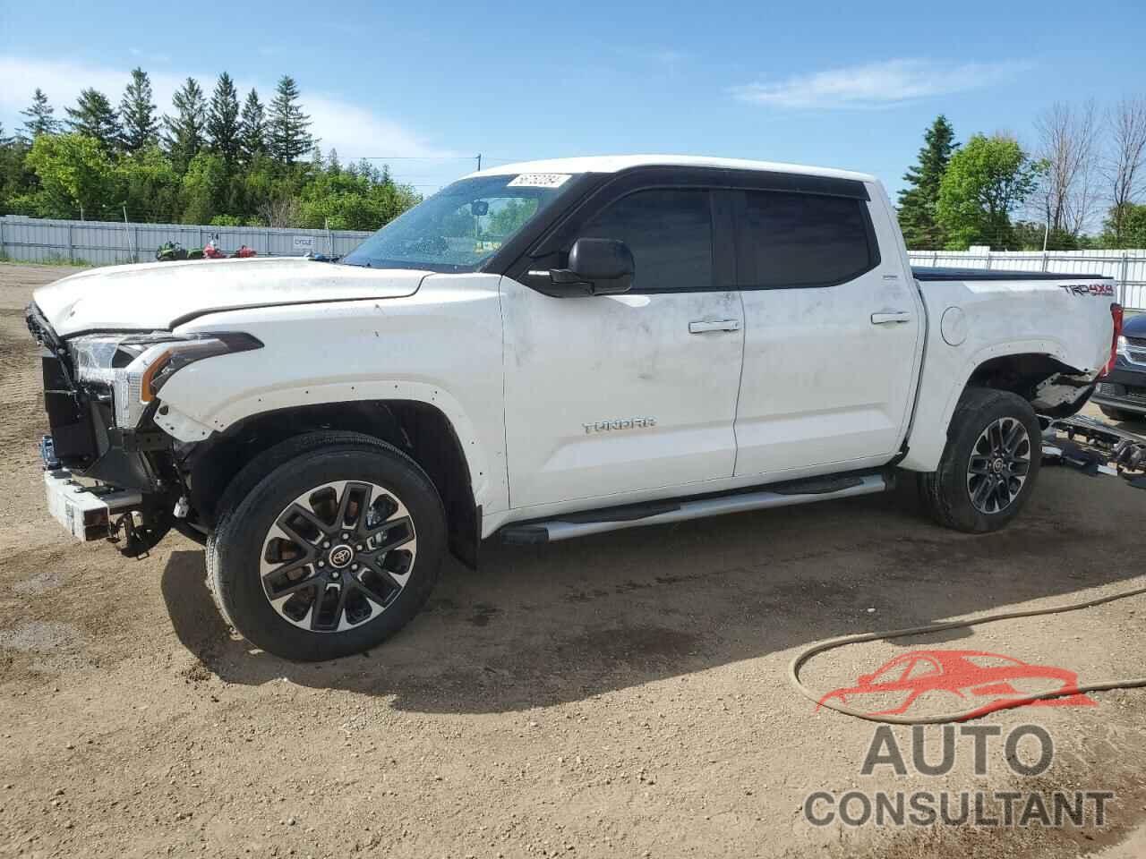 TOYOTA TUNDRA 2024 - 5TFLA5DB8RX160604