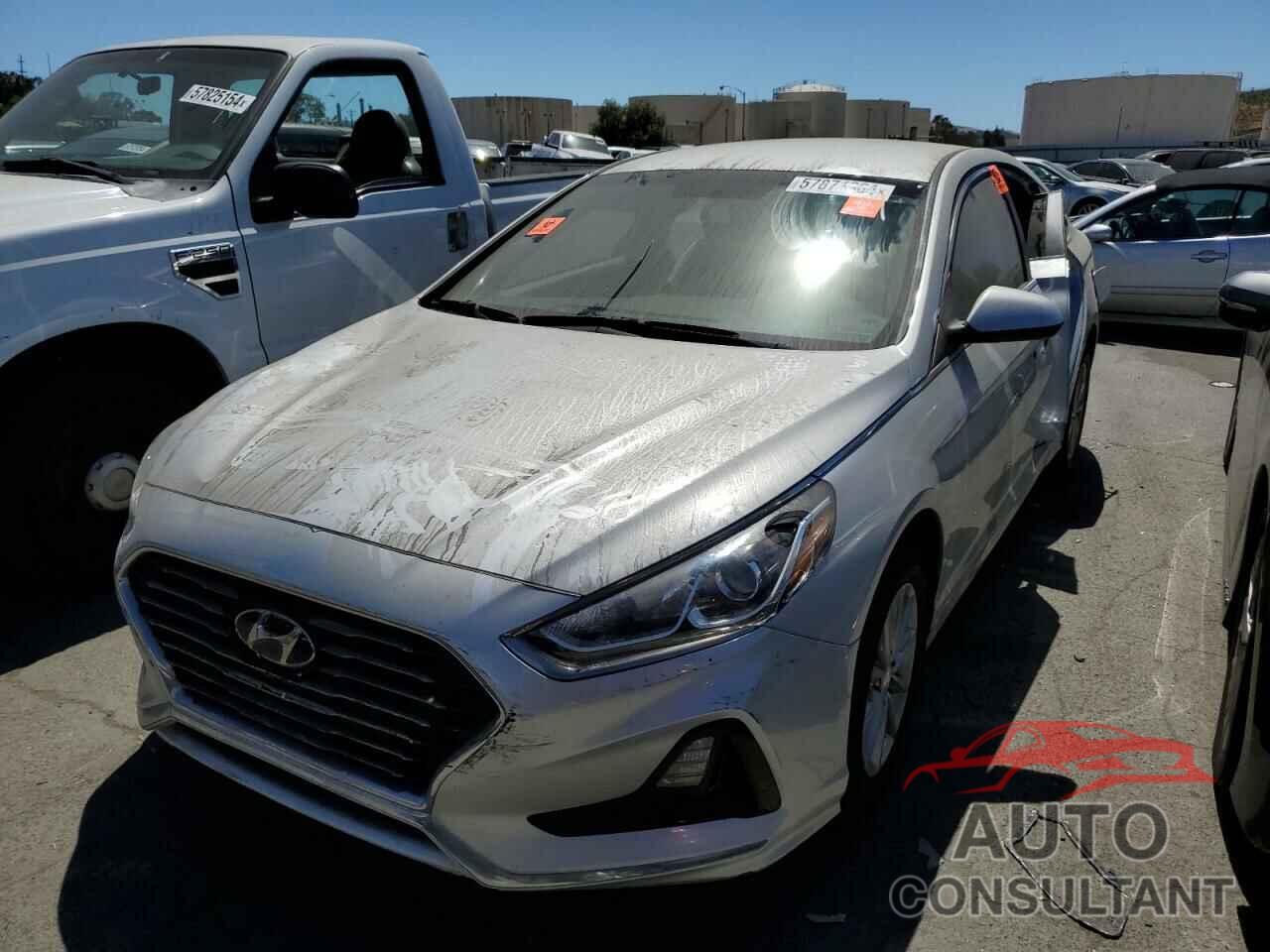 HYUNDAI SONATA 2019 - 5NPE24AF4KH773568