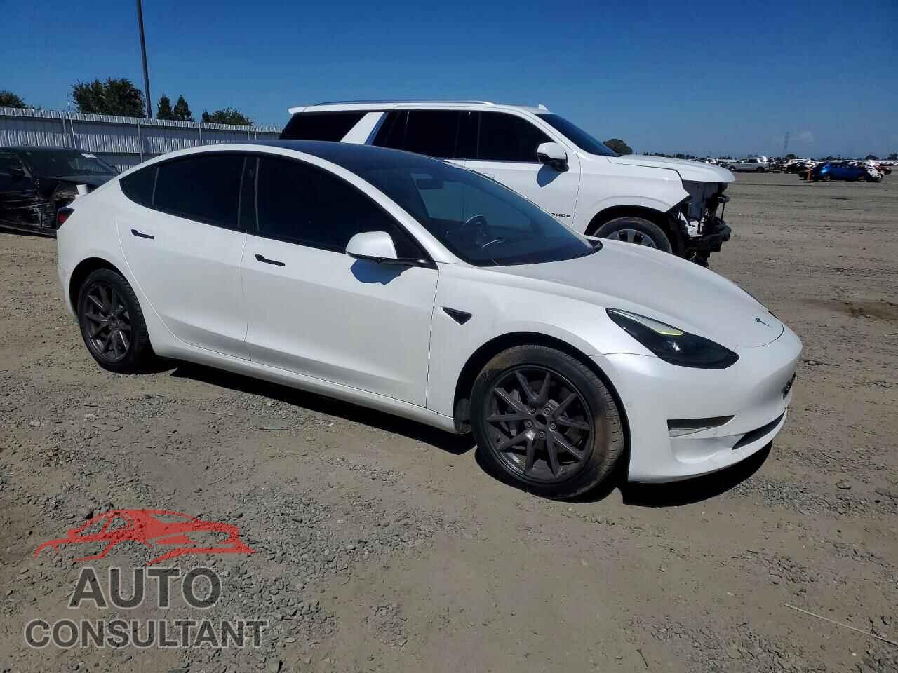TESLA MODEL 3 2021 - 5YJ3E1EA8MF941452
