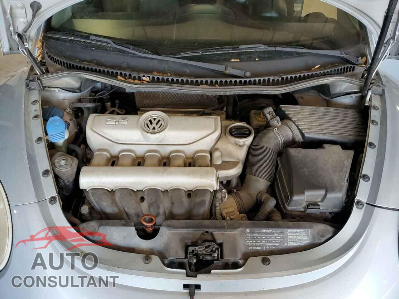 VOLKSWAGEN BEETLE 2010 - 3VWPG3AG3AM008080