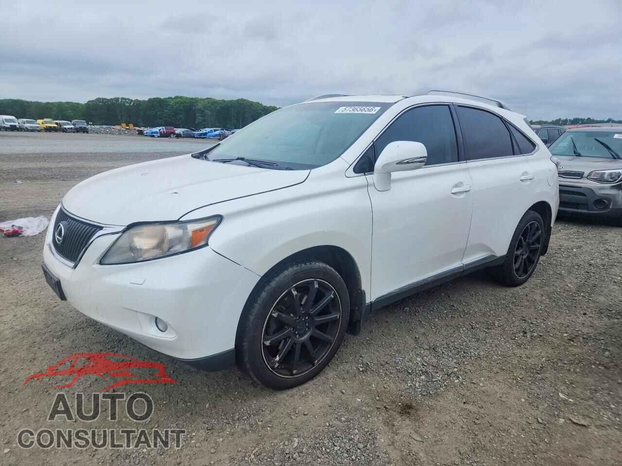LEXUS RX350 2011 - 2T2BK1BA8BC093675