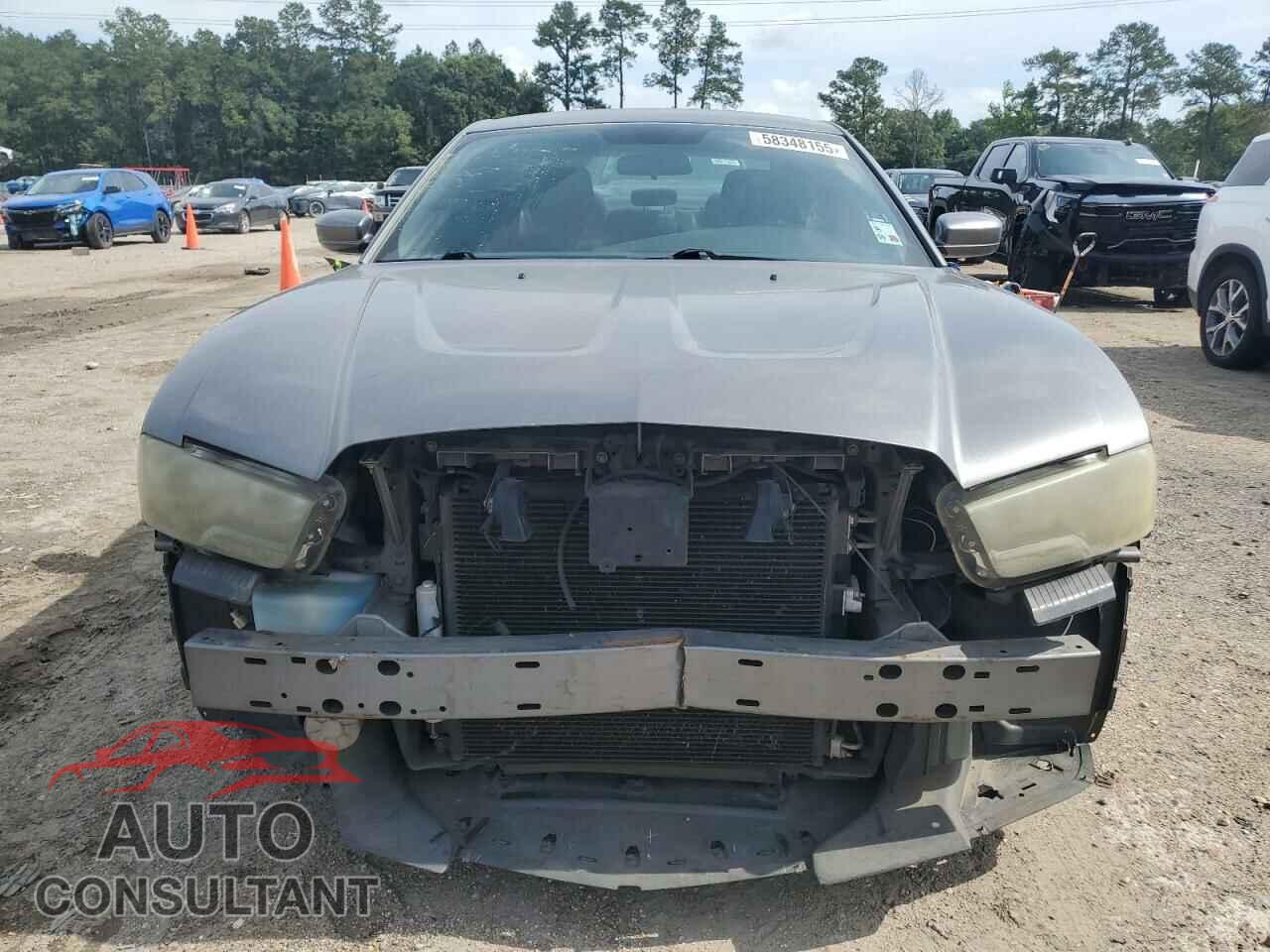 DODGE CHARGER 2011 - 2B3CL3CG5BH543231