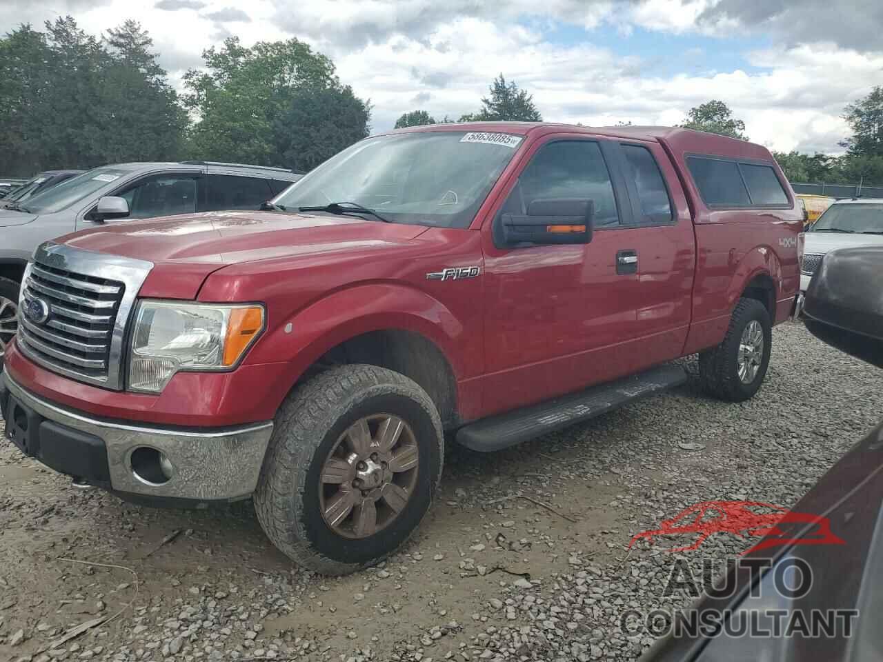 FORD F-150 2011 - 1FTFX1EF7BFD20795