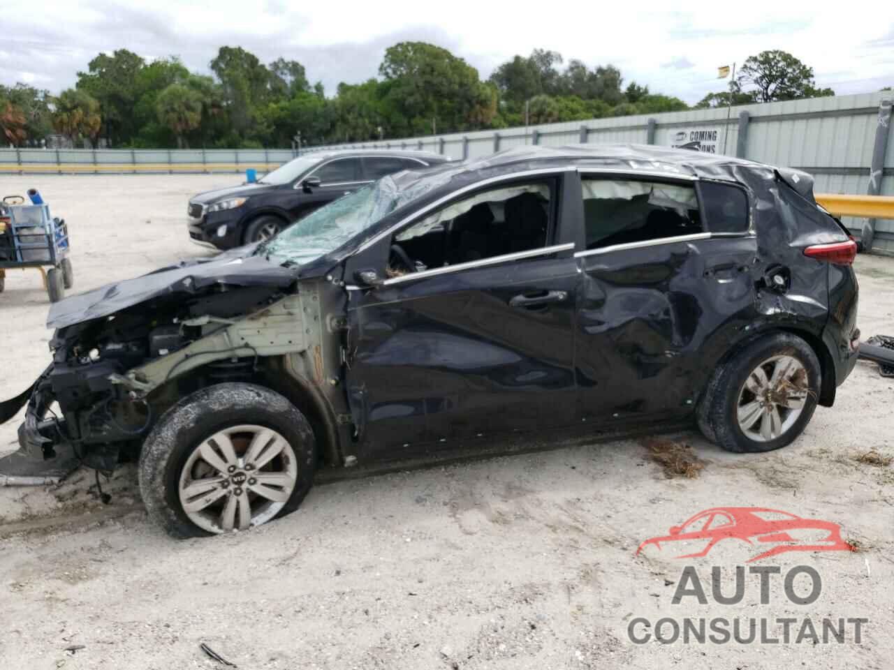 KIA SPORTAGE 2017 - KNDPM3AC6H7076273