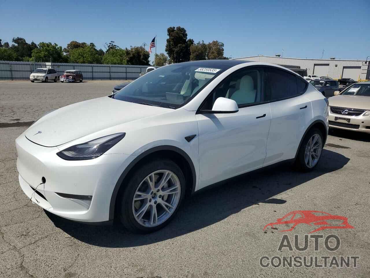 TESLA MODEL Y 2022 - 7SAYGDEEXNF549582