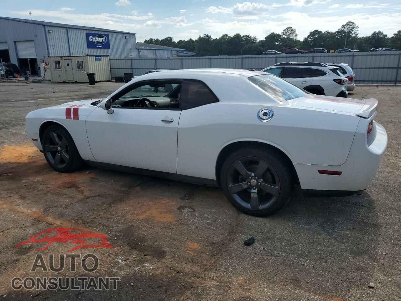 DODGE CHALLENGER 2013 - 2C3CDYAG0DH549702