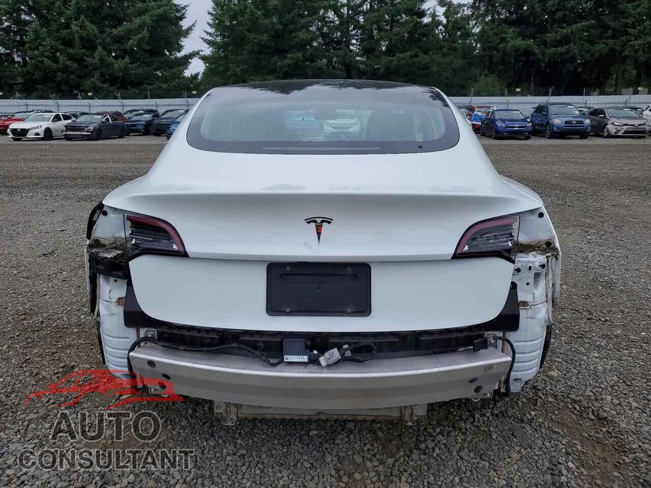 TESLA MODEL 3 2019 - 5YJ3E1EA1KF425169