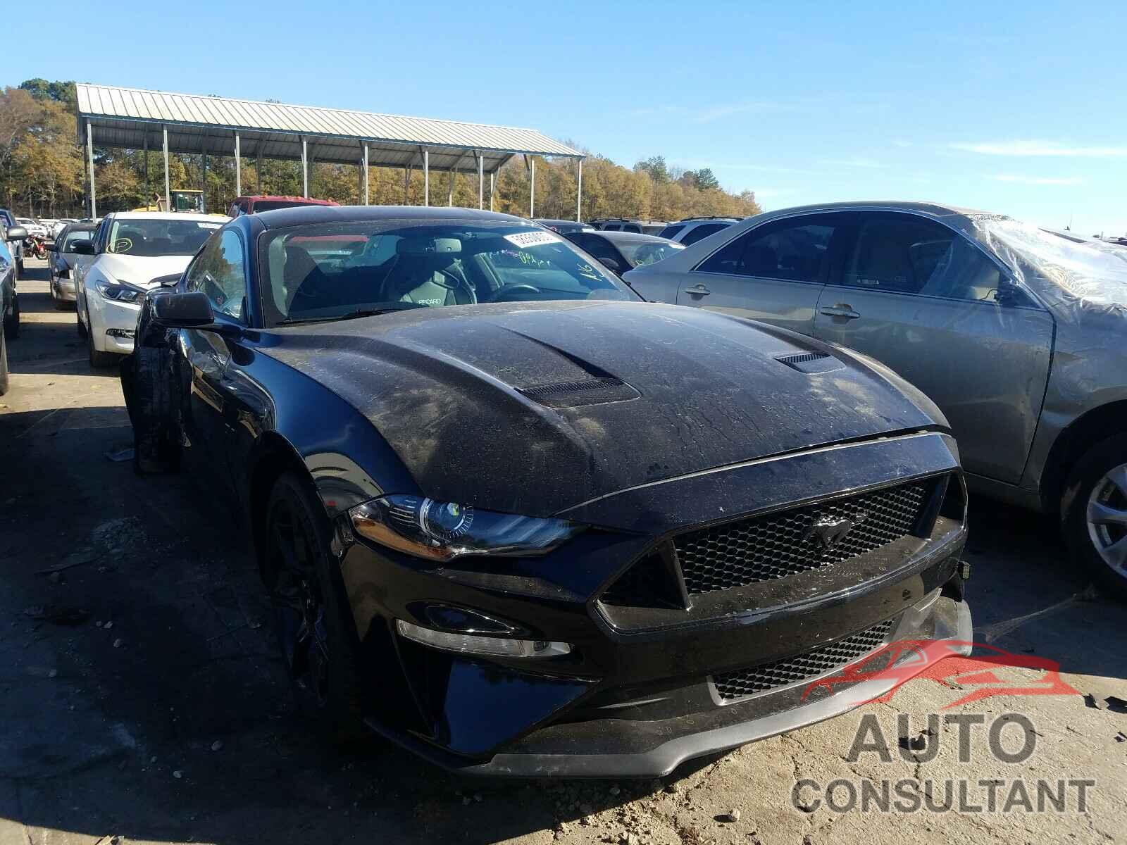 FORD MUSTANG 2019 - 1FA6P8CF3K5146618